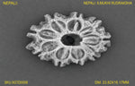 Load image into Gallery viewer, 9 MUKHI NEPALI RUDRAKSHA