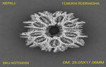 Load image into Gallery viewer, 13 MUKHI NEPALI RUDRAKSHA