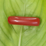 Load image into Gallery viewer, Natural Italian Moonga
