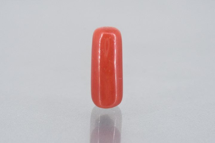 7.35/Carat Natural Cylindrical Red Coral (1800)