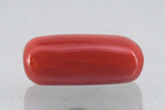 Load image into Gallery viewer, 7.91/Carat Natural Cylindrical Red Coral-1800
