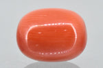 Load image into Gallery viewer, 12.55/Carat Natural Red Coral (2100)
