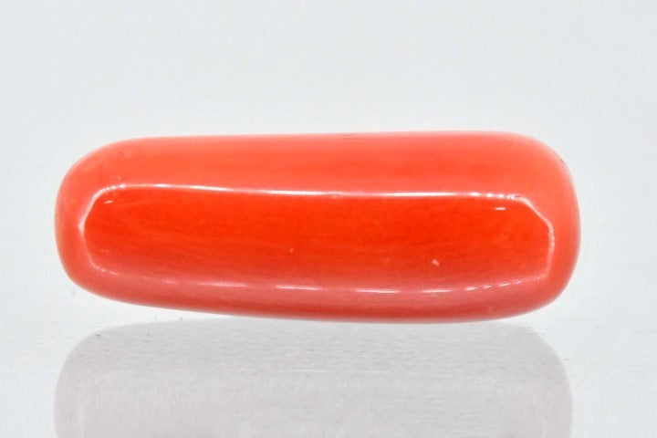 6.92/Carat Natural Cylindrical Red Coral (1800)