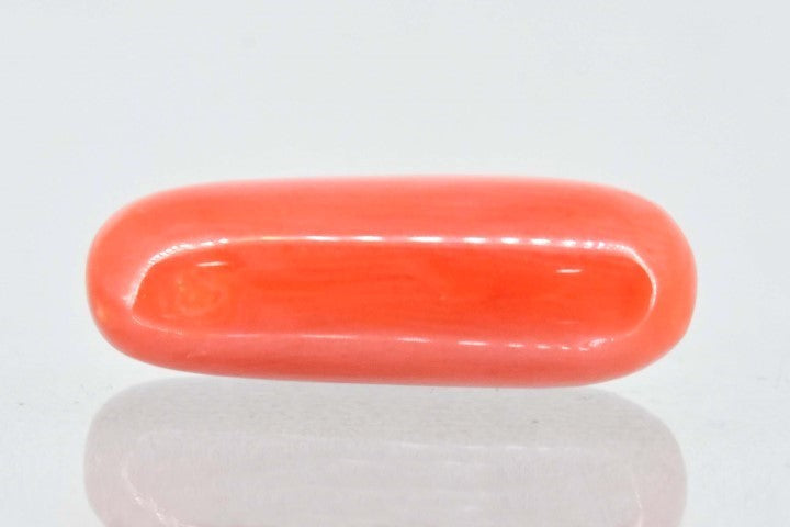 7.31/Carat Natural Cylindrical Red Coral (1800)