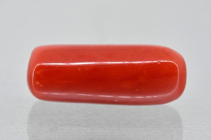 6.17/Carat Natural Cylindrical Red Coral-1200