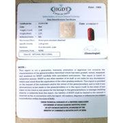 Natural Italian Moonga