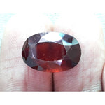 Load image into Gallery viewer, Ceylonese Gomed-(1100)
