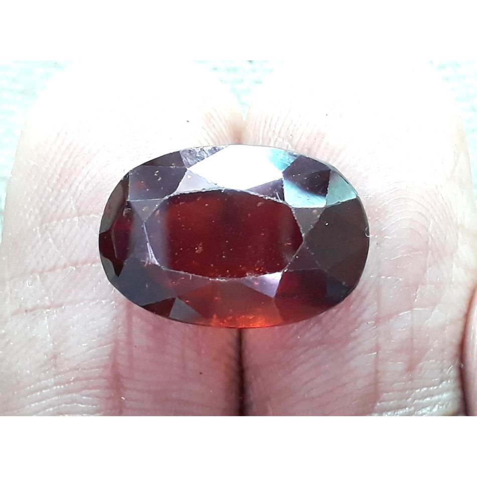 Ceylonese Gomed-(1100)