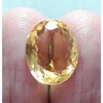 Load image into Gallery viewer, Goldan Topaz
