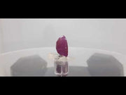 10.50 Ratti Natural New Burma Ruby with Govt. Lab Certificate-(2331)