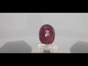 9.52 Ratti Natural Neo Burma Ruby with Govt. Lab Certificate-(2331)