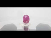 8.39 Ratti Natural New Burma Ruby with Govt. Lab Certificate (2331)