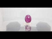11.30 Ratti Natural New Burma Ruby with Govt Lab Certificate-(2331)