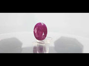 8.43 Ratti Natural Neo Burma Ruby with Govt. Lab Certificate-(3441)