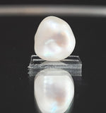 Load image into Gallery viewer, Keshi Pearl-1650
