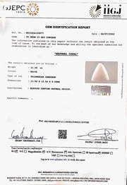 12.28 Ratti White Coral-(1500)