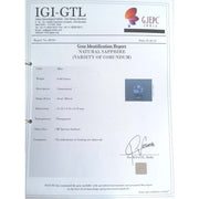 Neelam Stone-(16650)