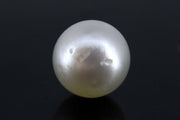 7.44/CT Natural South Sea Pearl with Govt. Lab Certificate-1550