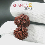 Load and play video in Gallery viewer, GAURI SHANKAR RUDRAKSHA