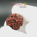 Load and play video in Gallery viewer, 4 MUKHI NEPALI RUDRAKSHA