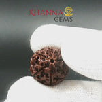 Load and play video in Gallery viewer, 7 MUKHI NEPALI RUDRAKSHA
