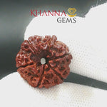Load and play video in Gallery viewer, 6 MUKHI NEPALI RUDRAKSHA