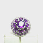 Load and play video in Gallery viewer, 8.10/GM  AMETHYST ZIRCON RING Earrings - G0508