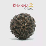Load and play video in Gallery viewer, 7 MUKHI NEPALI RUDRAKSHA