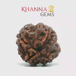 Load and play video in Gallery viewer, 4 MUKHI NEPALI RUDRAKSHA