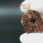 Load and play video in Gallery viewer, 13 MUKHI NEPALI RUDRAKSHA