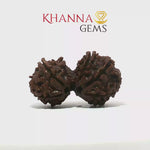 Load and play video in Gallery viewer, GAURI SHANKAR  RUDRAKSHA