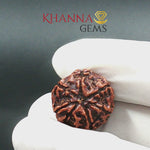 Load and play video in Gallery viewer, 7 MUKHI NEPALI RUDRAKSHA (BIG BEADS)