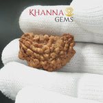 Load and play video in Gallery viewer, 1 MUKHI RAMESHWARAM RUDRAKSHA