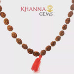 Load and play video in Gallery viewer, THREE MUKHI RUDRAKSHA MALA