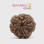 Load and play video in Gallery viewer, 7 MUKHI NEPALI RUDRAKSHA (PREMIUM)