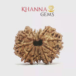 Load and play video in Gallery viewer, 12 MUKHI NEPALI RUDRAKSHA