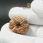 Load and play video in Gallery viewer, 8 MUKHI NEPALI RUDRAKSHA