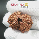 Load and play video in Gallery viewer, 12 MUKHI NEPALI RUDRAKSHA