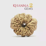 Load and play video in Gallery viewer, 8 MUKHI NEPALI RUDRAKSHA
