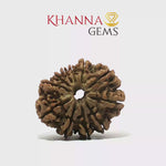 Load and play video in Gallery viewer, 11 MUKHI NEPALI RUDRAKSHA