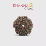 Load and play video in Gallery viewer, 5 MUKHI NEPALI RUDRAKSHA
