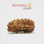 Load and play video in Gallery viewer, 1 MUKHI RAMESHWARAM RUDRAKSHA