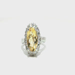 Load and play video in Gallery viewer, 4.46/GM  CITRINE ZIRCON RING Earrings - G0530