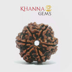 Load and play video in Gallery viewer, 6 MUKHI NEPALI RUDRAKSHA (BIG BEADS)