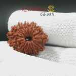 Load and play video in Gallery viewer, 14 MUKHI NEPALI RUDRAKSHA