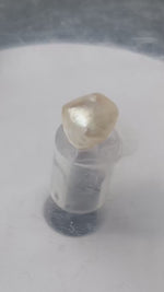 Load and play video in Gallery viewer, 3.42/CT Natural Basra Pearl with Govt. Lab Certificate (44000)
