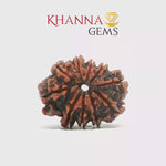 Load and play video in Gallery viewer, 10 MUKHI NEPALI RUDRAKSHA