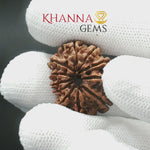 Load and play video in Gallery viewer, 11 MUKHI NEPALI RUDRAKSHA
