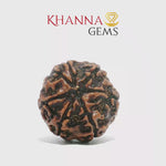 Load and play video in Gallery viewer, NATURAL 7 MUKHI NEPALI RUDRAKSHA