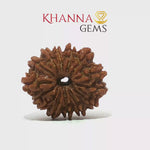 Load and play video in Gallery viewer, 14 MUKHI NEPALI RUDRAKSHA